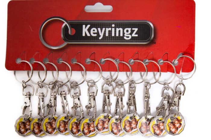 Trolley Coin New Cheeky Monkey Keyring