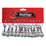 Trolley Coin New Welsh Dragon Keyring